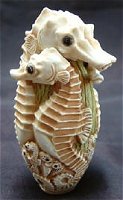 Reef Riders Ivory